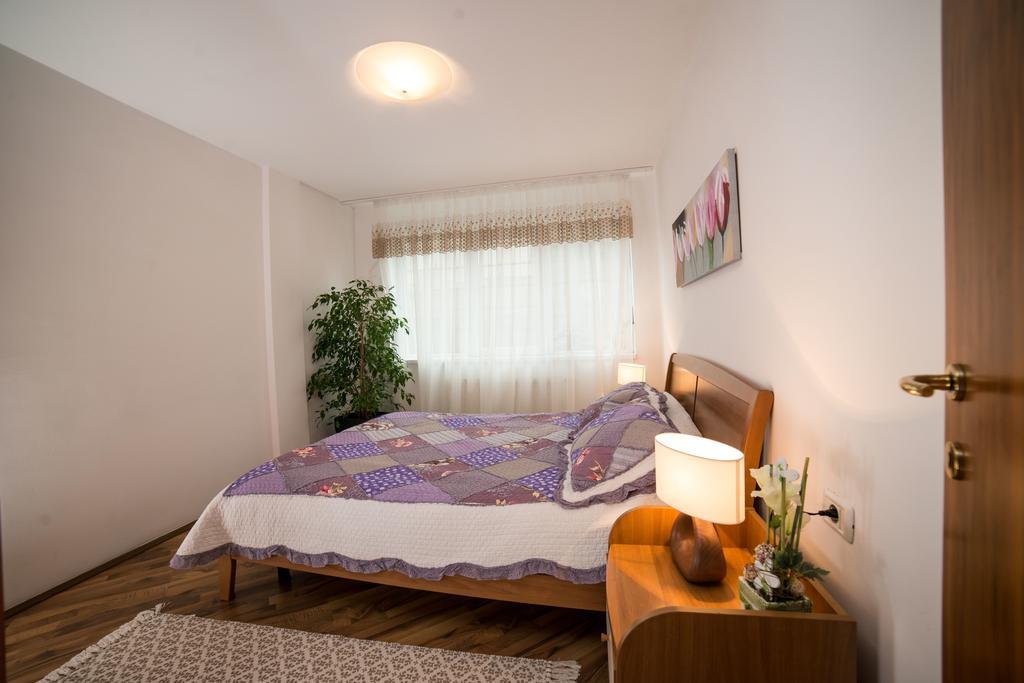 Rox Central Apartments Temesvár Kültér fotó